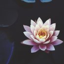 위