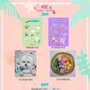 고잔신도시씨앤씨미술학원 이미지