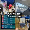 602 | 부산-발리 직항 에어부산 BX601 BX602 후기(좌석번들추천,기내식)