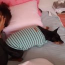 개편한집 이미지