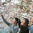 여미하우스 이미지