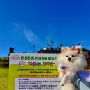 블루비치B 이미지