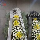 아주플라워