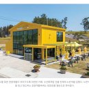 2025년 4월 4일 ~ 13일 신안 선도 섬 수선화 축제 관광명소 후기, 숙박, 교통정보, 주차정보, 사진찍기...