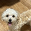 아이센스리그PC 수원경희대점 이미지