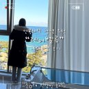 레이벨류 | 강릉 안목해변 펜션 추천_레이벨류 내돈내산 후기