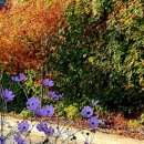 신정보건진료소 이미지