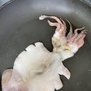 어물이야기 이미지