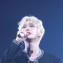 토끼나라 이미지