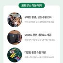 데이포토 이미지