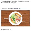 외국에서 당뇨예방+당뇨환자들에게 권장하는 원 플레이트(One-plates, 한접시) 식사 이미지