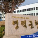 영덕군청청사 이미지