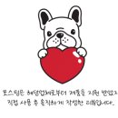 헬스비스킷 이미지