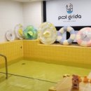 풀그리다 이미지