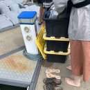 백´s비어 | 투어, 누사 메인 비치 렌탈, Crazy Matt’s 피시 앤 칩스, Grill’d, Eumundi market, Peregian Beach