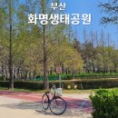 부산 화명생태공원 자전거 대여 위치 탑승후기