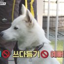 무적게임방 이미지