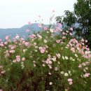 겨레농장 이미지