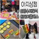 멍멍식탁 | 안양 원데이클래스 추천 아지상점 강아지 추석간식 모듬전 후기