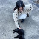 안녕,고양이 이미지