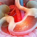 다옴한의원 이미지