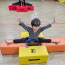용호태권도체육관 이미지