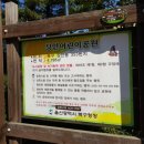 상안 풋살구장 | 울산 아이와가볼만한곳 상안어린이공원 놀이터 상안다목적구장