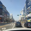 스시혼텐전주 | 롯데백화점에 있는 전주 회전초밥 - 스시혼텐