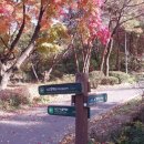 범블 미국남자와 남산 데이트 전 사전답사 겸 가본 후기 2편