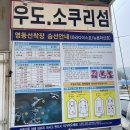명동 선착장 | 진해) 아이랑 소쿠리섬 당일치기/ 명동선착장 주차,배시간, 요금 그리고 동섬 갯벌체험 추천까지