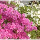 석천가든 이미지