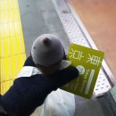 세븐일레븐파장본점 | 도쿄 몬자야끼::몬자오카메 본점에서 첫 도전, 모양은 요상해도 맛있어