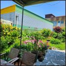 금영로 | 나주 카페 추천 여유롭게 머물기 좋은 테라스 감성의 더 테라스 후기