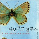 통섭