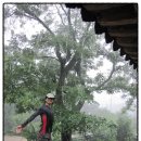 수포대(상) | [2010년 08월 15일] 오도산