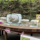 노원골유아숲 이미지