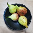 수원-0902 이미지