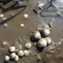 별빛정원 펜션 이미지