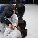 와이어주짓수 | 정통.브라질리언주짓수.양주주짓수.와이어주짓수.고읍주짓수.회원모집.무료이벤트.