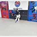 경희대석사효태권도장 이미지