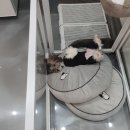 제이앤제이 그루밍 이미지