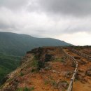 에코라인 이미지