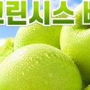 그린시스(Greensis)