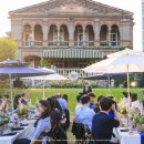 바카디코리아 이미지