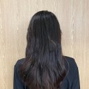 [서울 논현동 미용실] 먼슬리서울 “1인 프라이빗 헤어샵, 클리닉 후기”