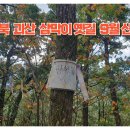 충북 괴산 산막이 옛길 9월 산행 이미지