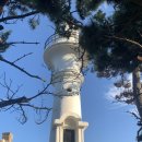 동궁횟집 | 경주 감포 여행코스 추천｜송대말등대·감은사지·문무대왕릉·일미횟집까지