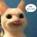 만리사 네이버블로그