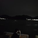 거제비타민씨 이미지