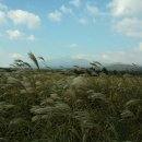 내고5길 이미지